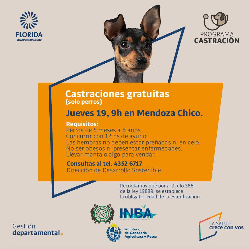 Programa de Sanidad Animal en Mendoza Chico