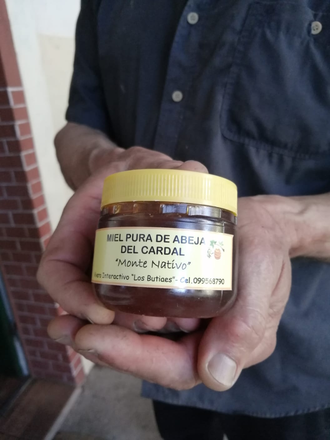 Propuesta turístico productiva en Cardal 3