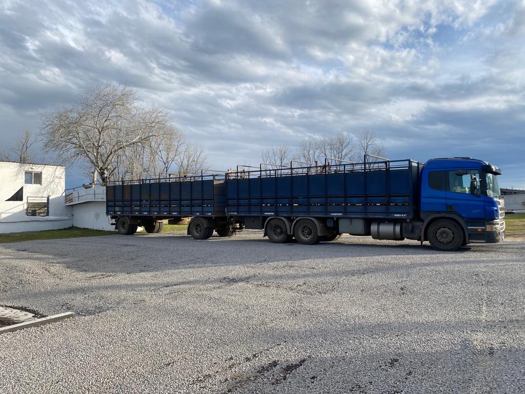 Reabre el Frigorífico Florida