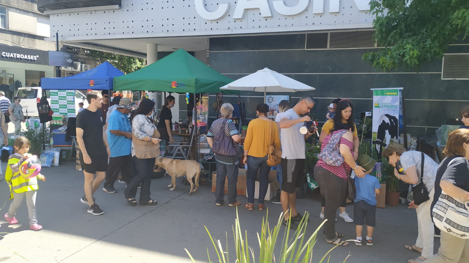 Sabatina de remate 2021 6