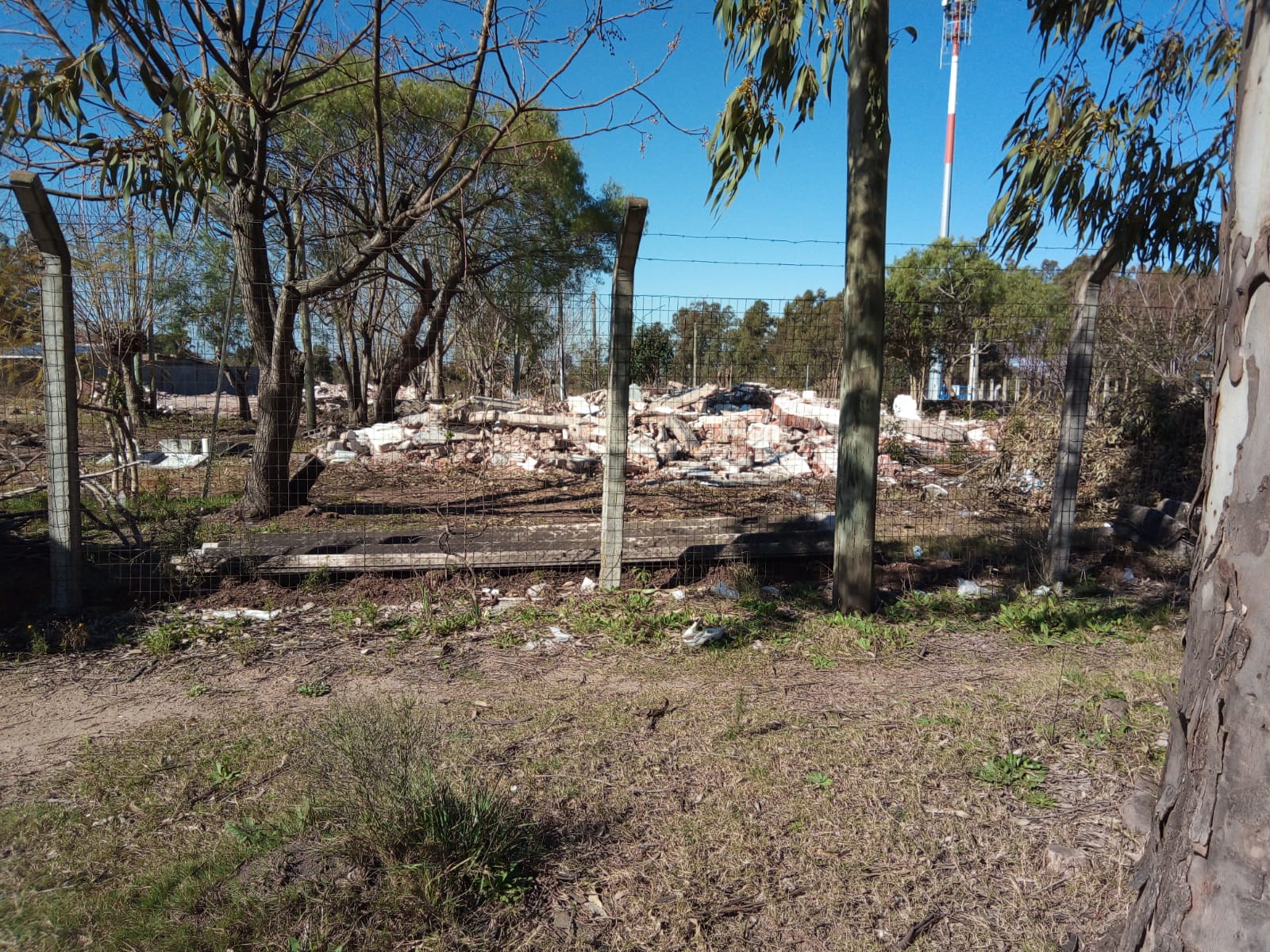 Se demolió complejo habitacional del BPS ubicado en Florida 2