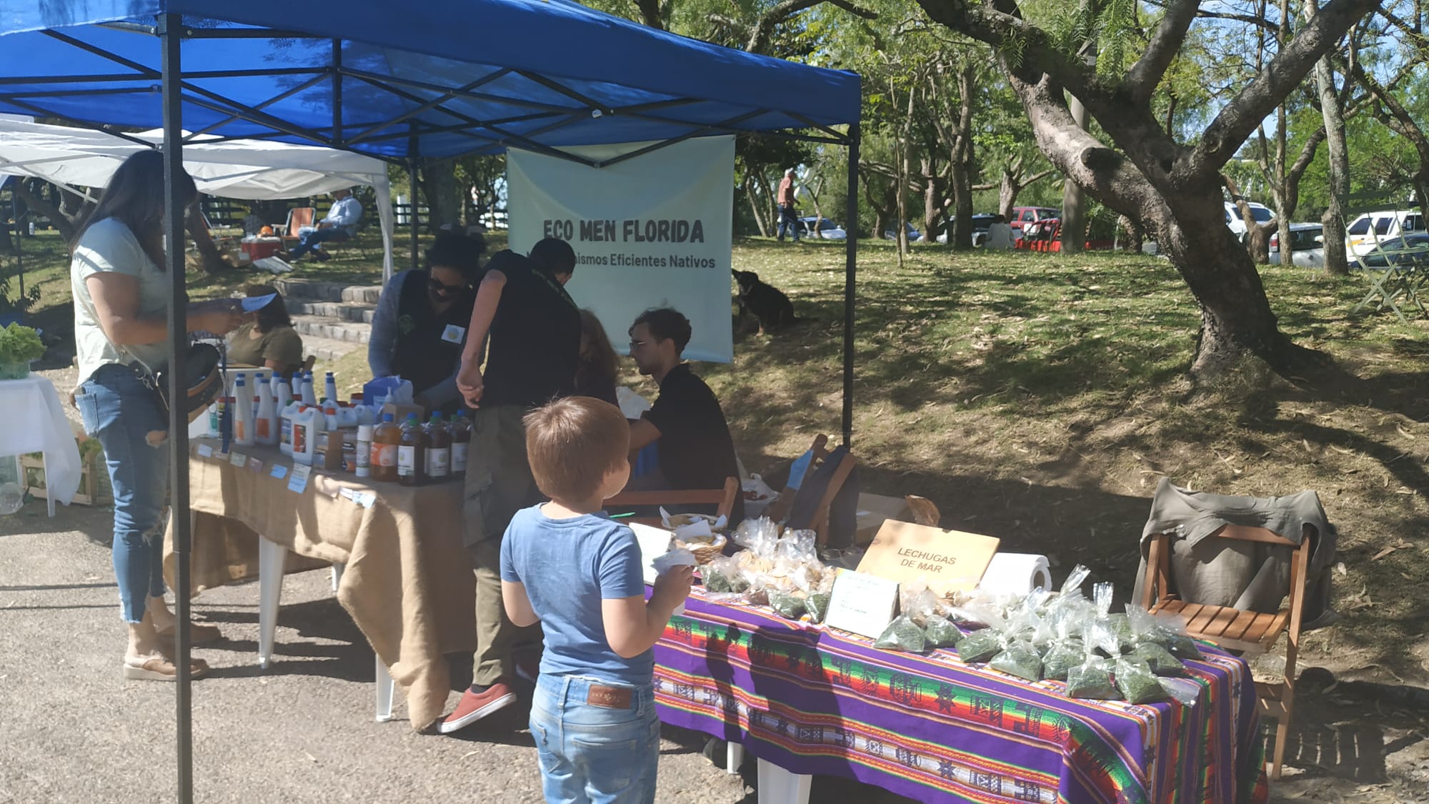 Se realizó la 5ta. Feria Verde y Sustentable
