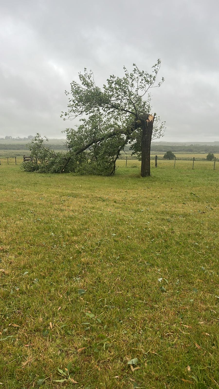 Temporal de lluvia y viento afectó varias zonas de Florida 4