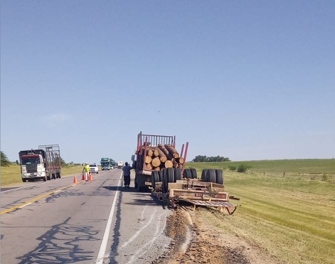 Vuelco de camión cargado con madera en km 114 de ruta 5 3