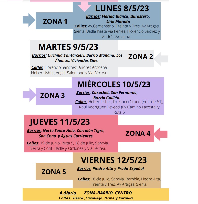 cronograma de descacharrizacion