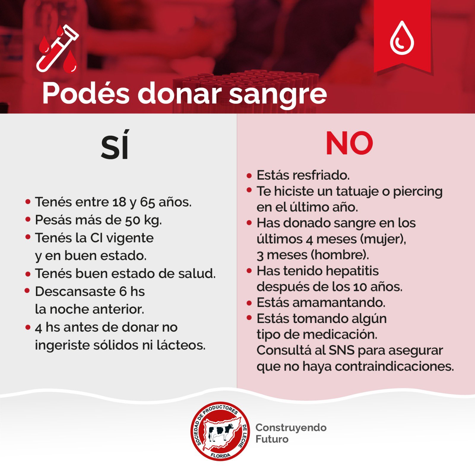 donacion sangre splf1