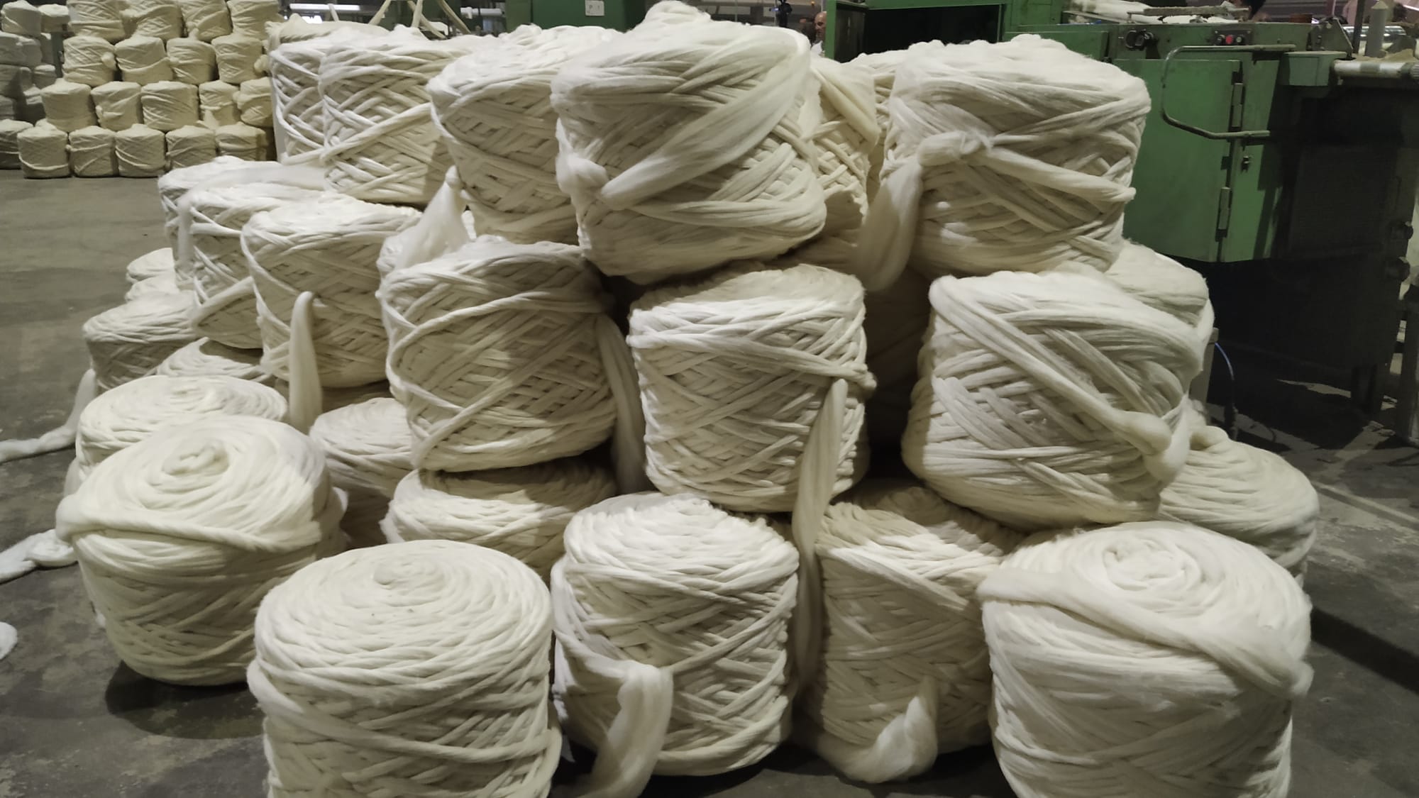 Ministro Adrián Peña participó del último Consejo Directivo del año de CAF realizado en Lanera Piedra Alta 2