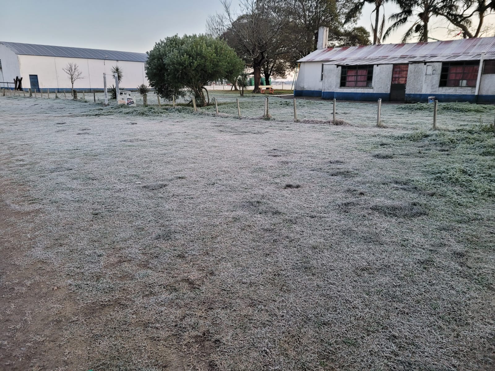 martes dos grados bajo cero helada