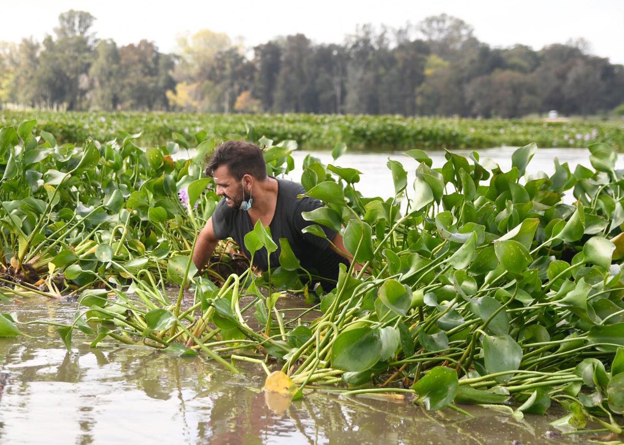 Jornada de limpieza en Lago del Parque Tomás Berreta