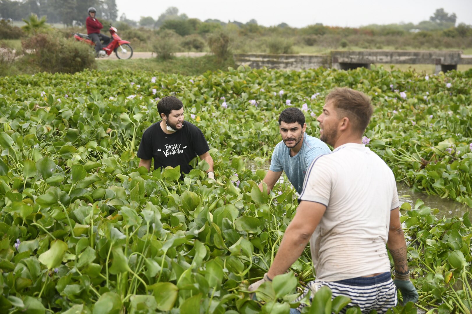 Jornada de limpieza en Lago del Parque Tomás Berreta 2