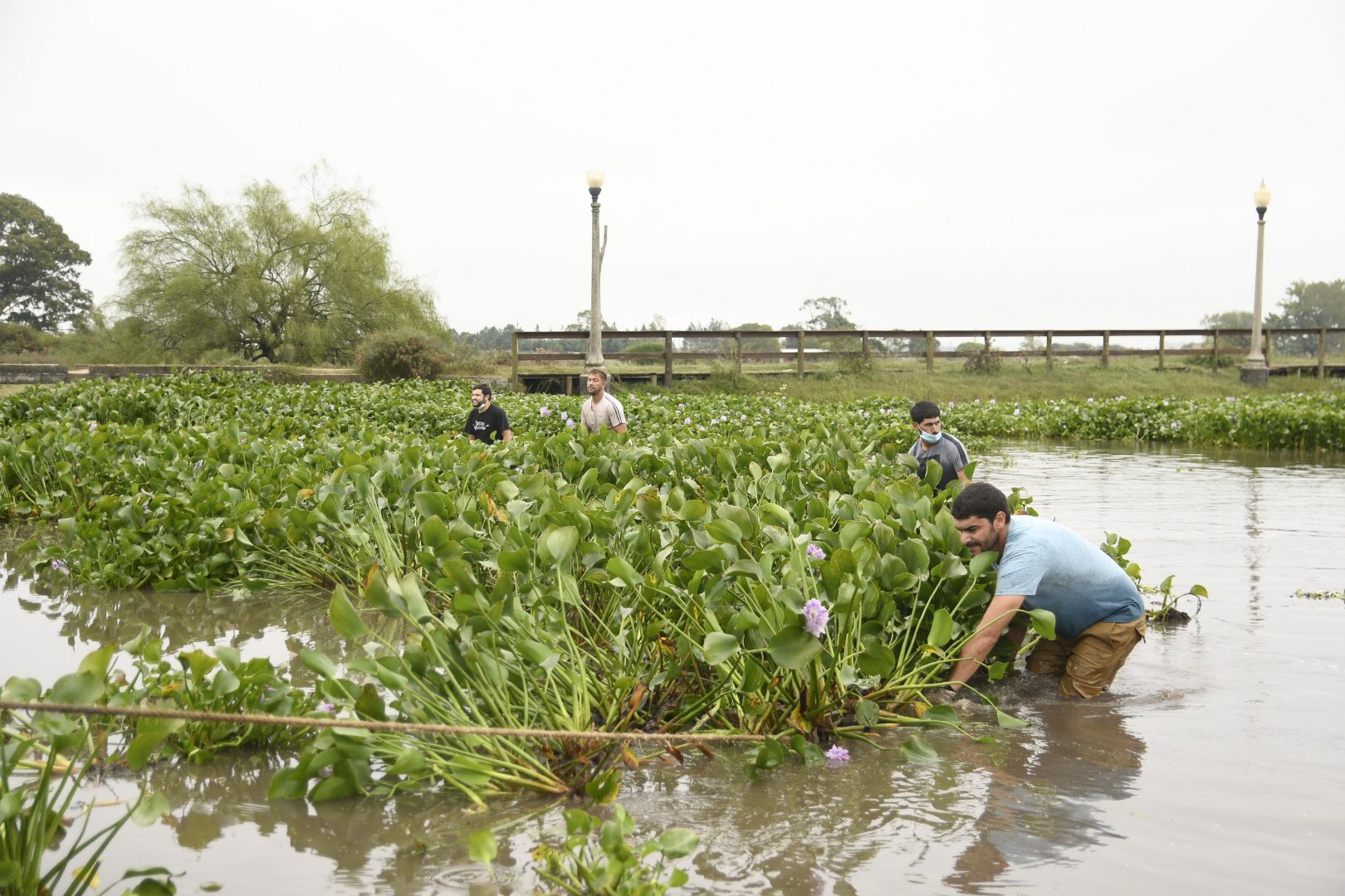 Jornada de limpieza en Lago del Parque Tomás Berreta 3
