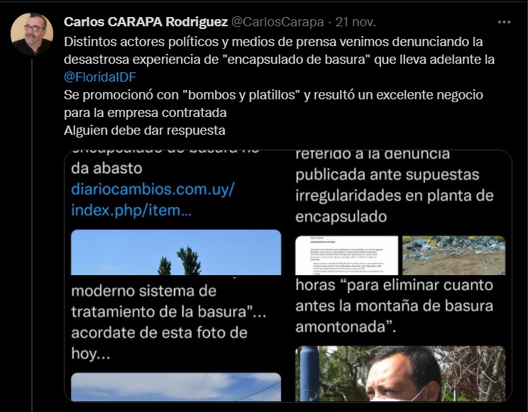 tuit carapa 22 11