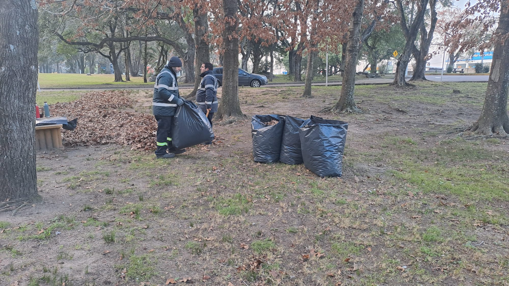 La_Intendencia_realiza_trabajos_de_limpieza_en_el_Prado_Piedra_Alta.jpeg