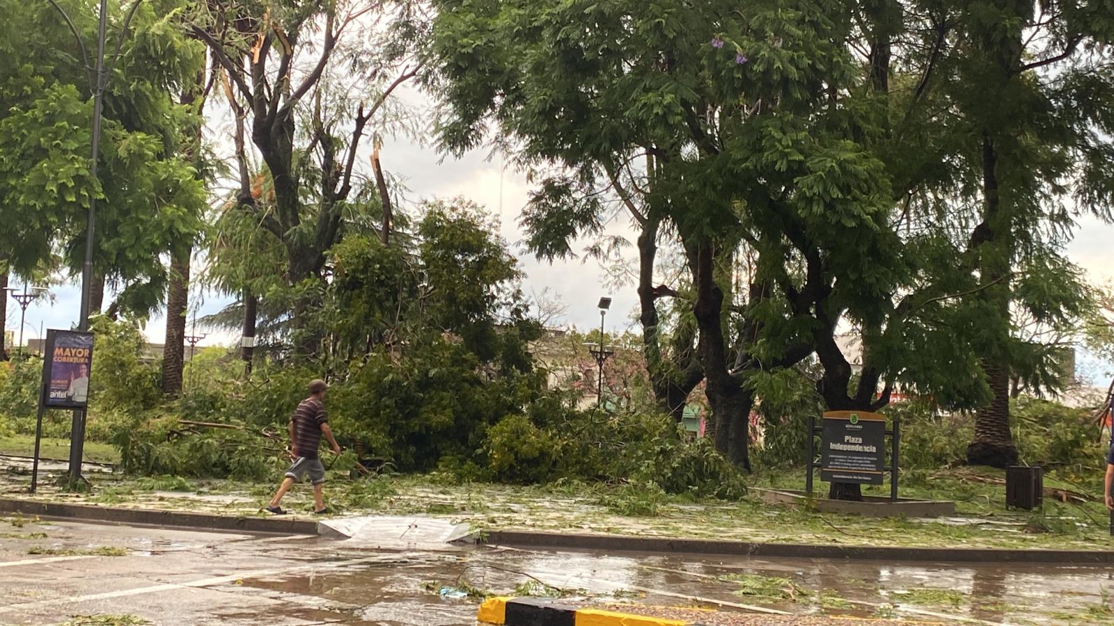 Fuerte temporal en Soriano causó cuantiosos daños 4