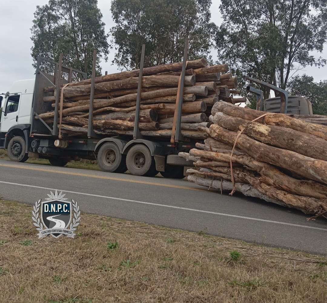 Vuelco_de_zorra_cargada_de_madera_en_ruta_7_1.jpeg