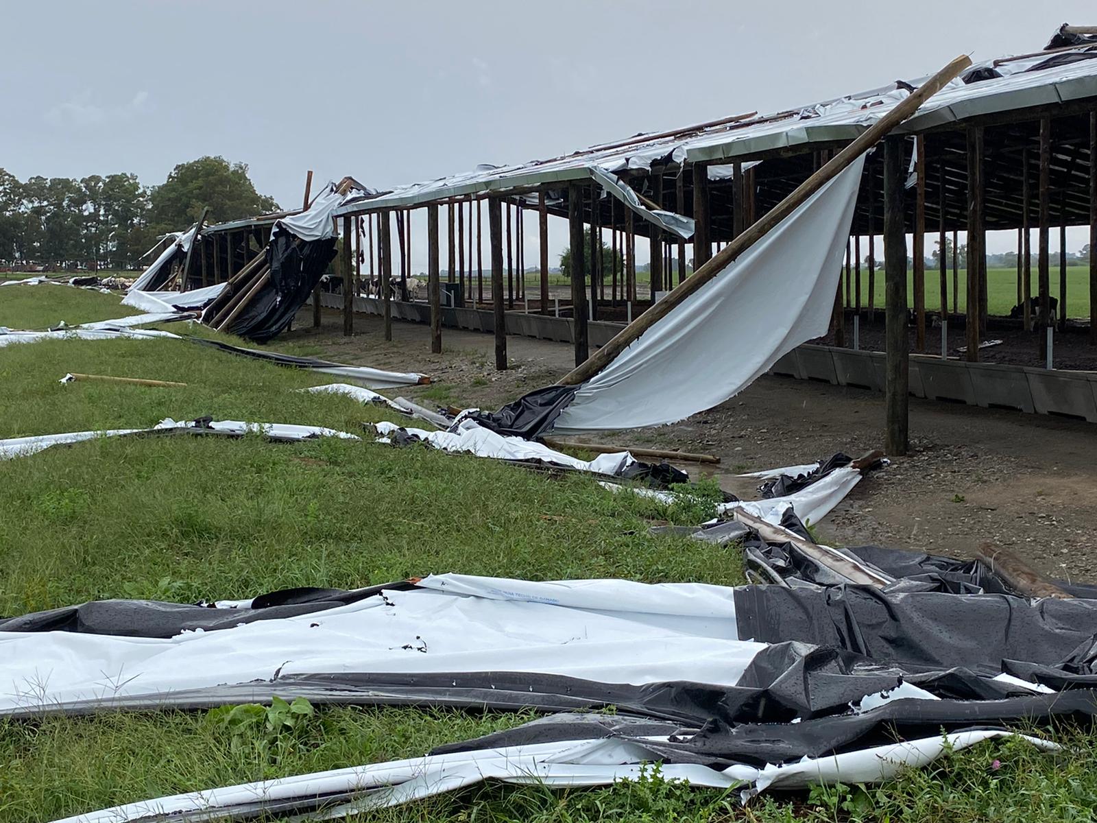 Fuertes vientos dañaron estructura en establecimiento de Colonia 2