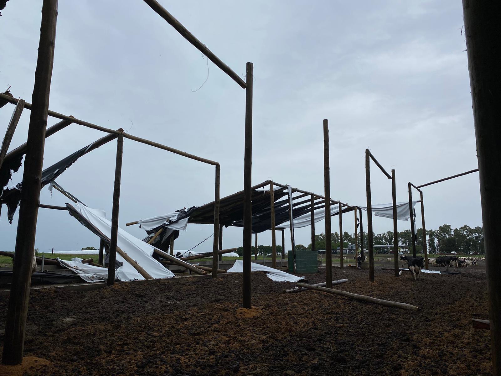 Fuertes vientos dañaron estructura en establecimiento de Colonia 4