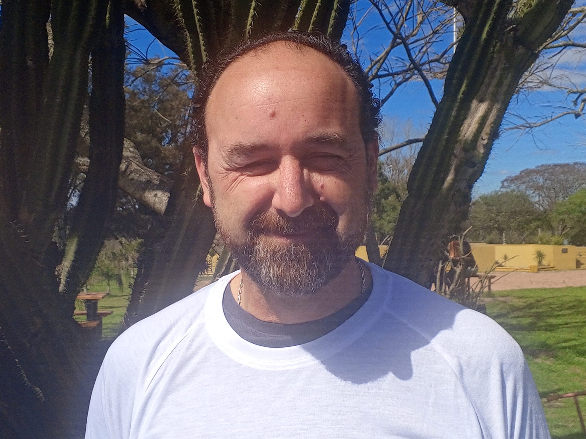 diego_bertini_07.jpg