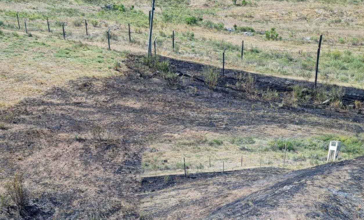 incendio_pesma.jpg