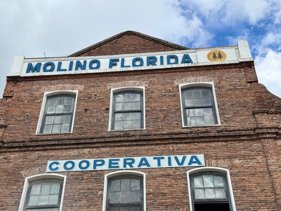molino_florida_28.jpeg
