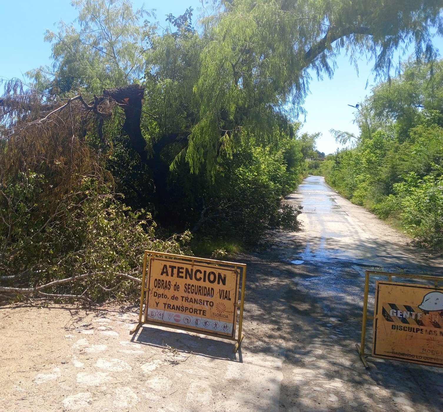 paso_de_la_calzada_florida.jpg
