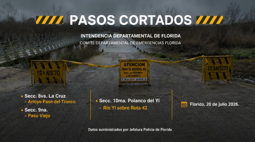 pasos_cortados_20-7-26.jpg